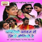 Papihyo Sawan Mein Mittho Bolyo Re - Ghanshyam Mewadi Song Download